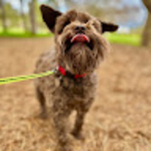 Meet your Posher, Alexa